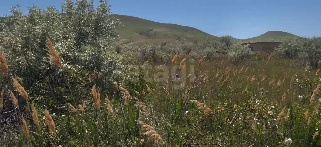 Участок в Крым, Феодосия муниципальный округ, Орджоникидзе пгт, Волна ... - Фото 1