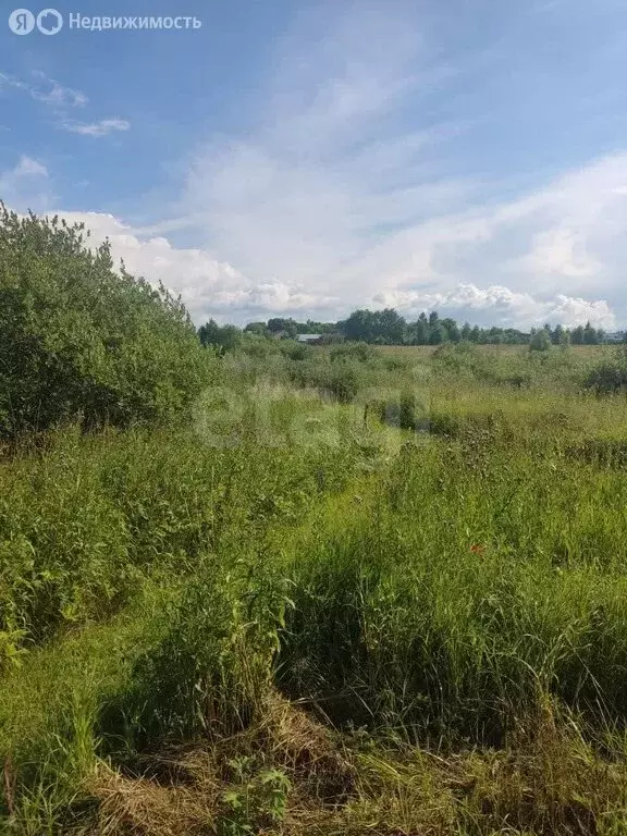 Участок в Тульская область, городской округ Тула, деревня Барсуки (5 ... - Фото 1