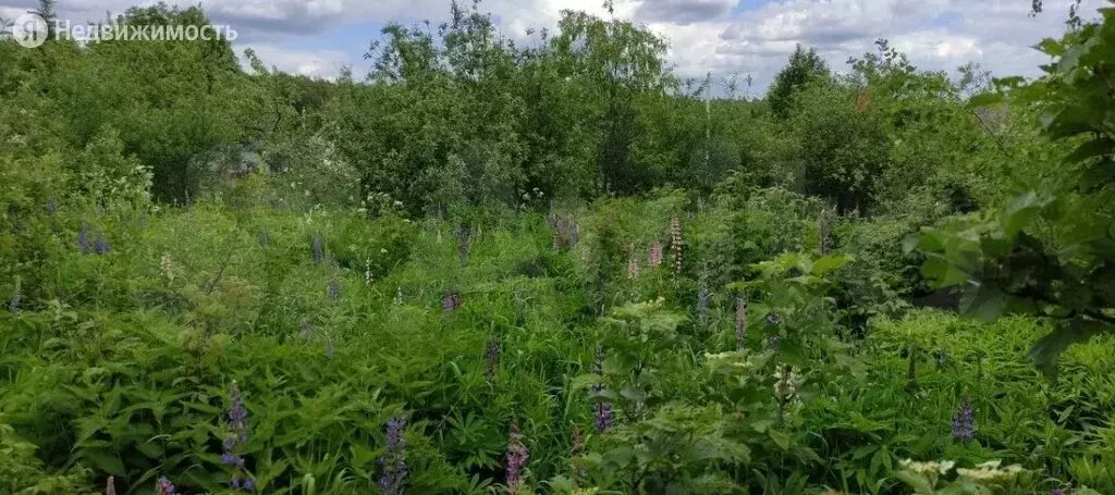 Купить В Ивановском Районе