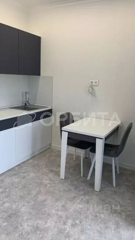 Студия Тюменская область, Тюменский муниципальный округ, д. Дударева ... - Фото 2