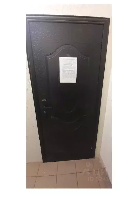 Свободной планировки кв. Новосибирская область, Новосибирск ул. ... - Фото 1