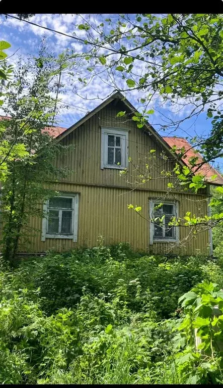 Дом в Ленинградская область, Высоцк Выборгский район,  (50 м) - Фото 1