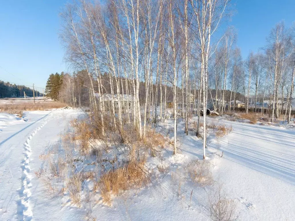 Участок в Тюменская область, Нижнетавдинский район, с. Тюнево Сосновый ... - Фото 0