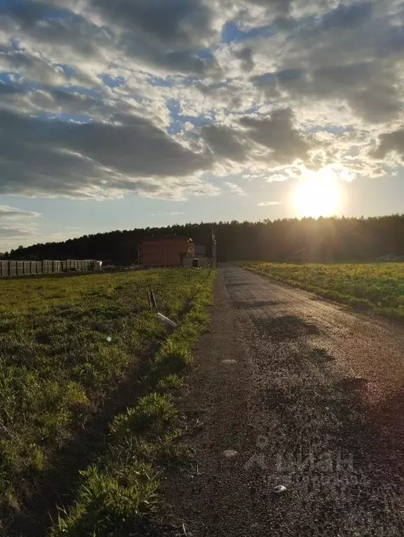 Участок в Московская область, Домодедово городской округ, с. Успенское ... - Фото 0
