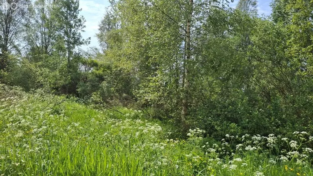 Участок в посёлок Большая Вишера, 4-я Советская улица (12 м) - Фото 0
