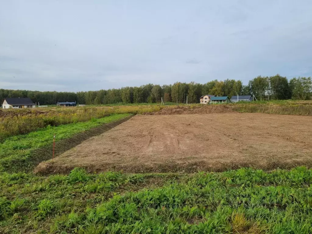 Участок в Московская область, Ступино городской округ, д. Ламоново, ... - Фото 2