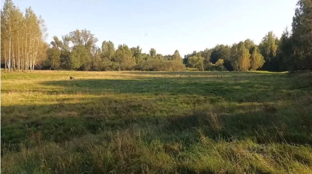 Участок в Московская область, Лосино-Петровский городской округ, д. ... - Фото 0