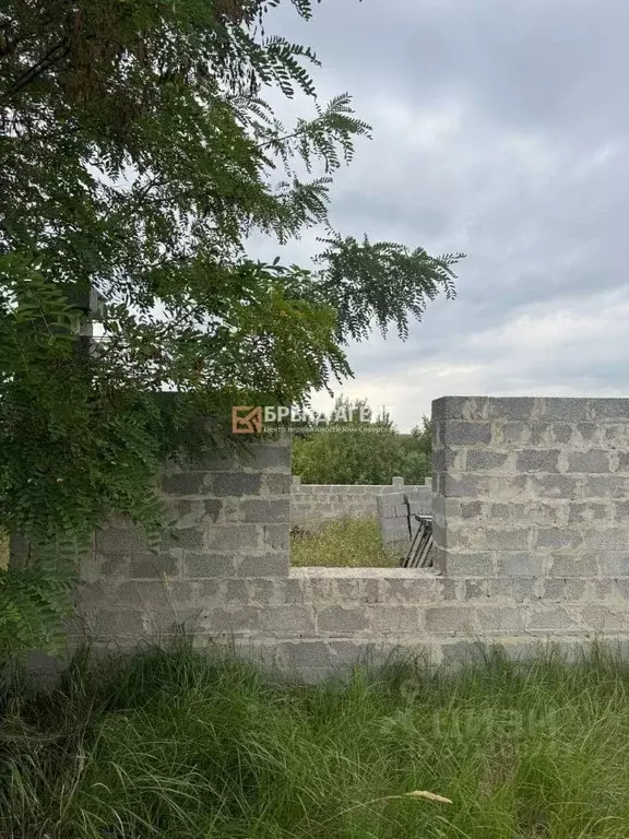 Участок в Белгородская область, Строитель Яковлевский городской округ, ... - Фото 1