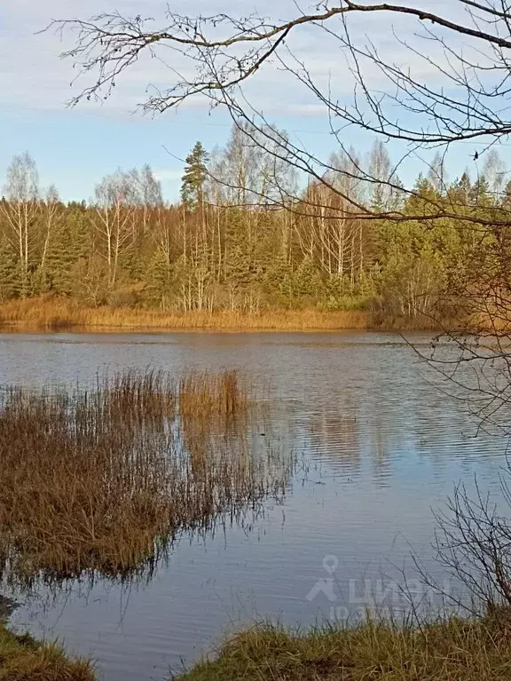 1-к кв. Псковская область, Печорский муниципальный округ, д. Ротово  ... - Фото 2