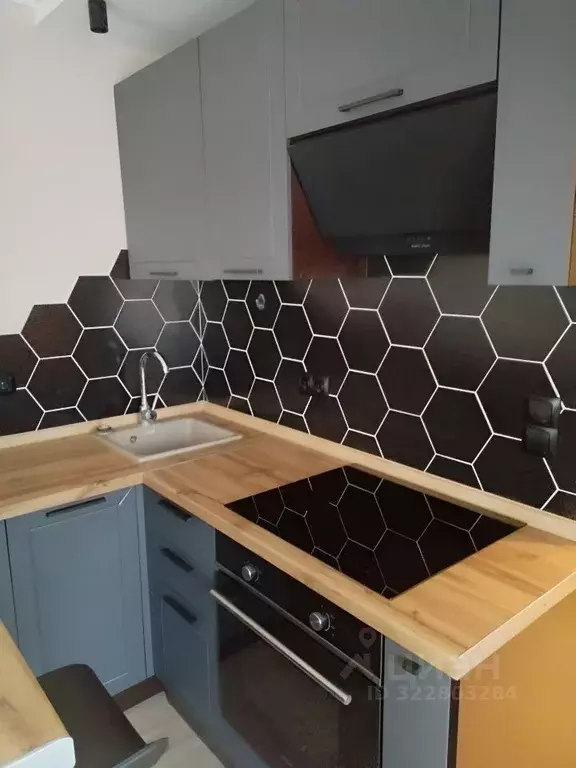 Студия Московская область, Пушкинский городской округ, с. Тарасовка ... - Фото 1