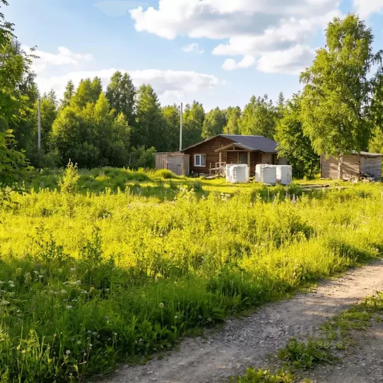 Участок в Кировская область, Киров Славич СДТ,  (6.0 сот.) - Фото 1