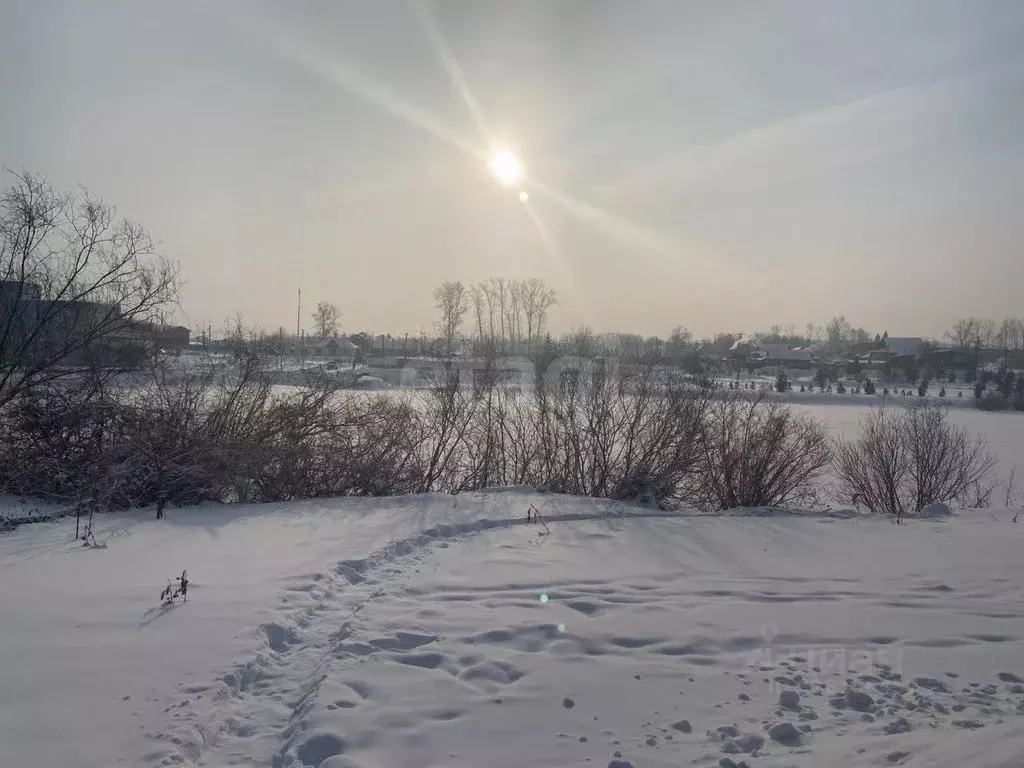 Участок в Красноярский край, Красноярск городской округ, пос. Элита ... - Фото 2