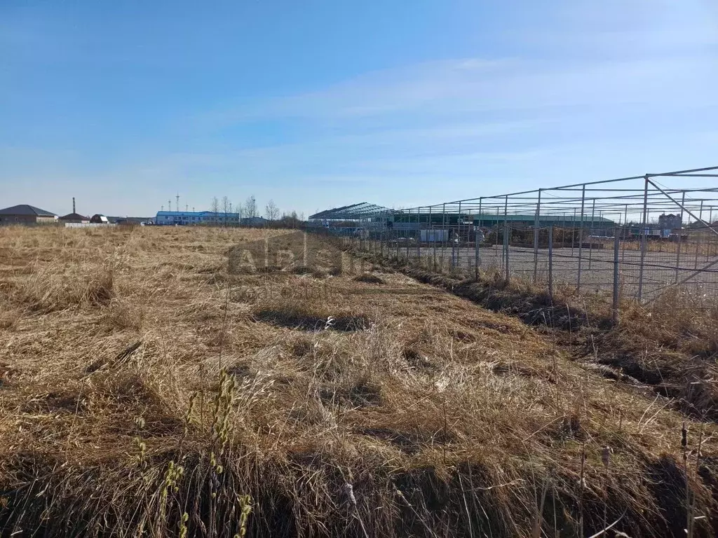 Участок в Новгородская область, Новгородский район, Ермолинское с/пос, ... - Фото 2