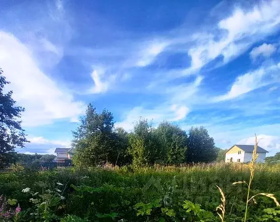Участок в Ленинградская область, Ломоносовский район, Ропшинское ... - Фото 0