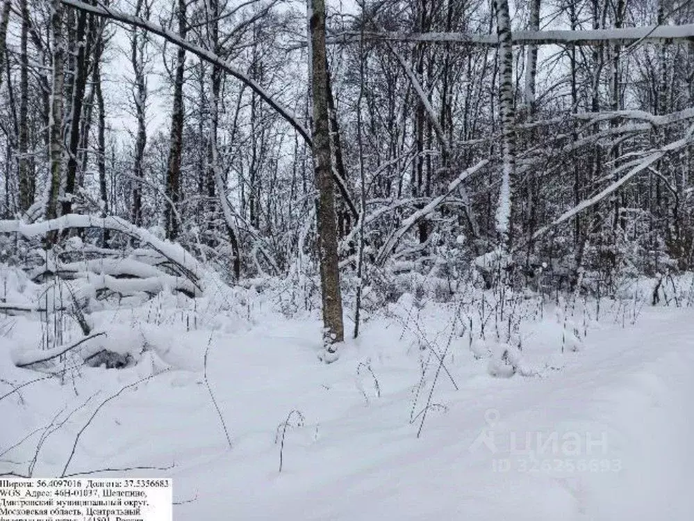 Участок в Московская область, Дмитровский муниципальный округ, д. ... - Фото 2