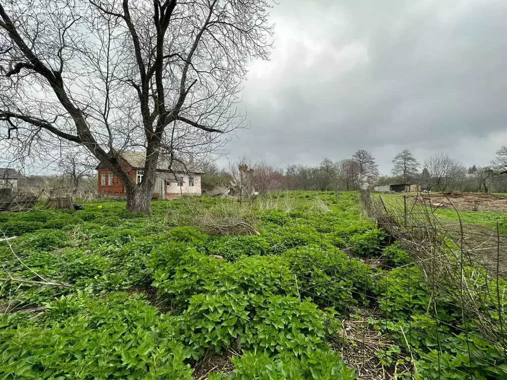 Участок в село Сунжа, улица Революции, 34 (40 м) - Фото 0