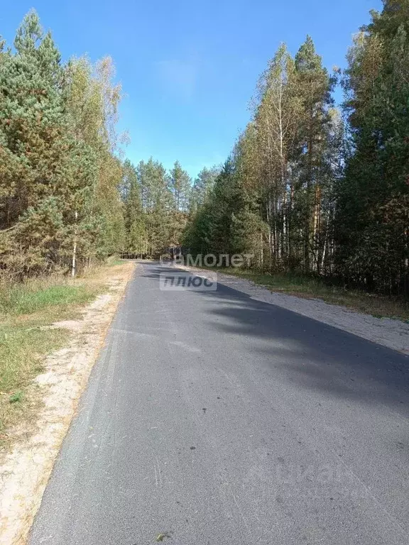 Участок в Владимирская область, Судогодский район, д. Травинино  ... - Фото 0