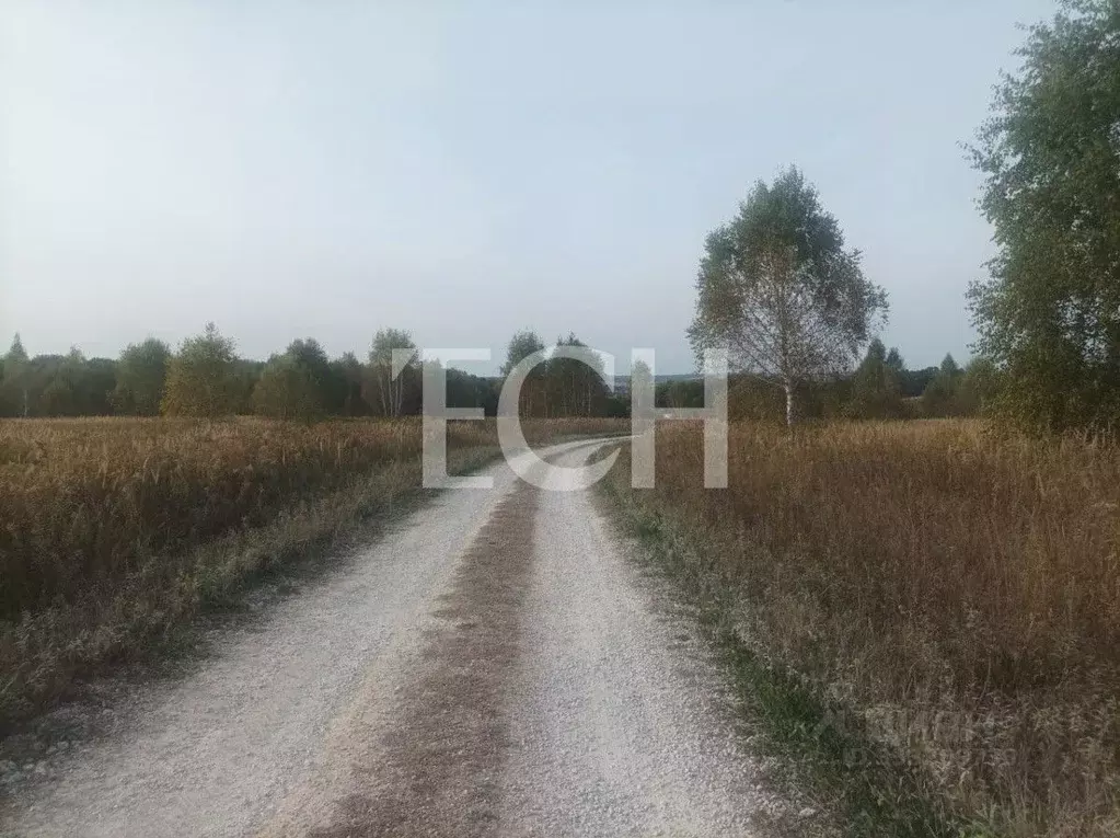 Участок в Тульская область, Тула городской округ, д. Натальинка  ... - Фото 1