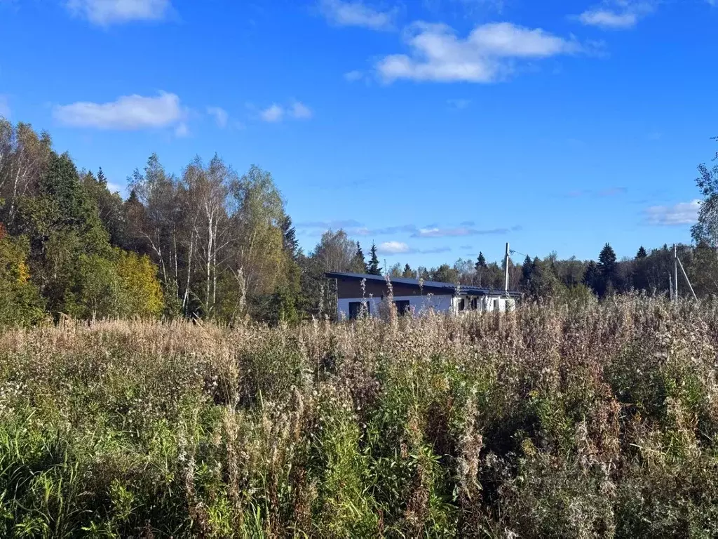 Участок в Московская область, Дмитровский муниципальный округ, Сбоево ... - Фото 2