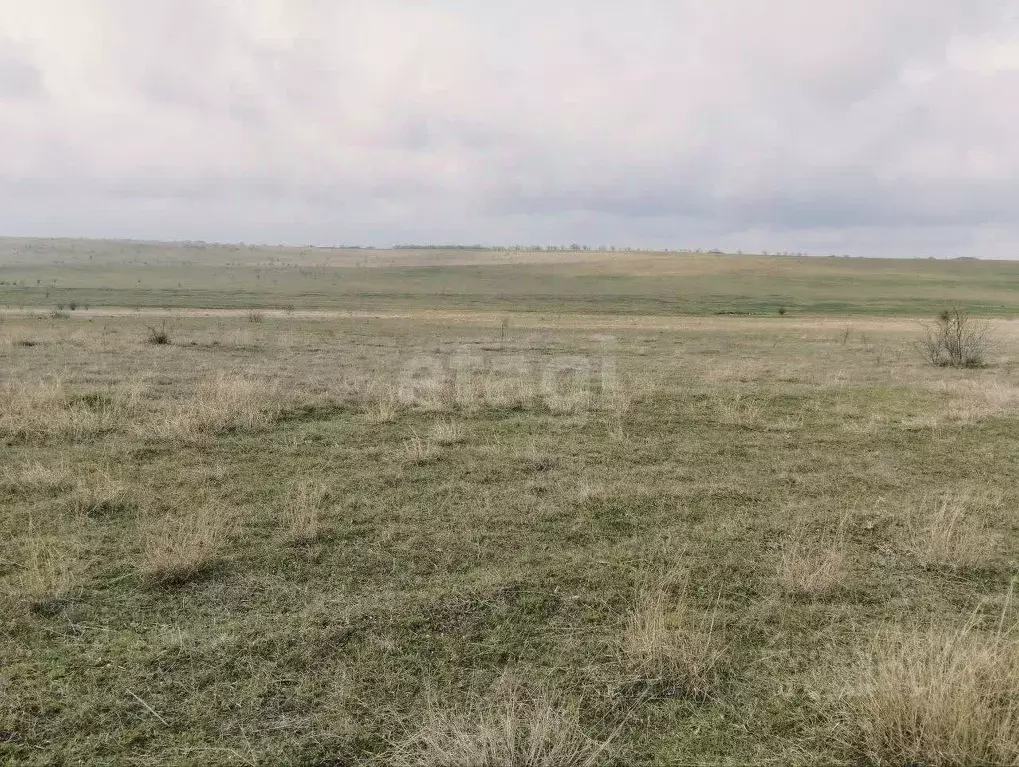 Участок в Крым, Симферопольский район, с. Родниково  (612.3 сот.) - Фото 0