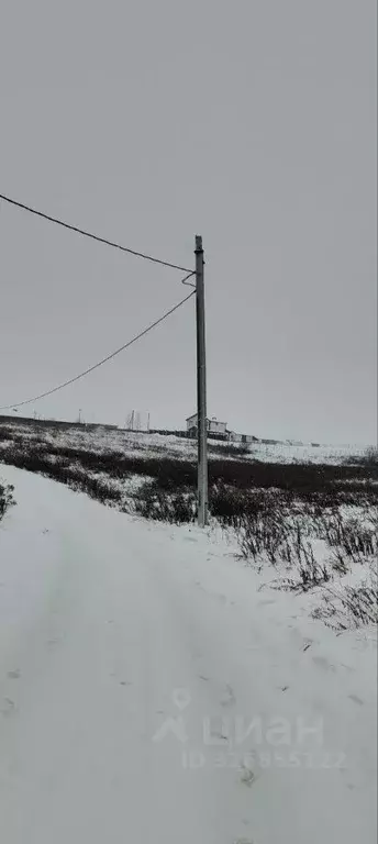 Участок в Брянская область, Брянский район, Добрунское с/пос, д. ... - Фото 2