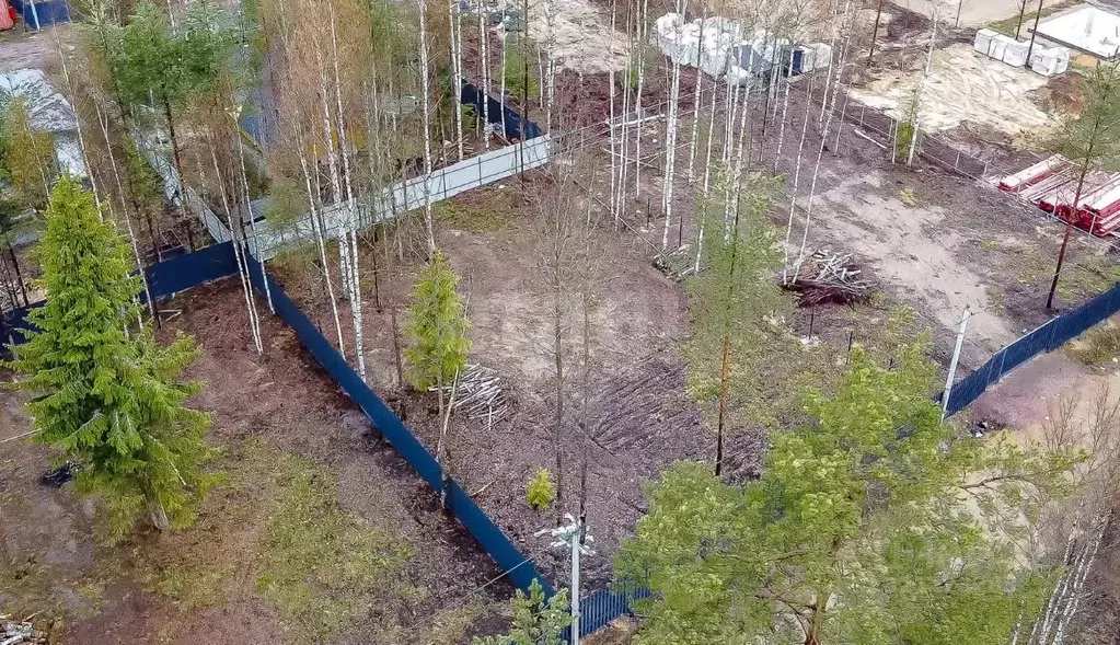 Участок в Ленинградская область, Всеволожское городское поселение, ... - Фото 0
