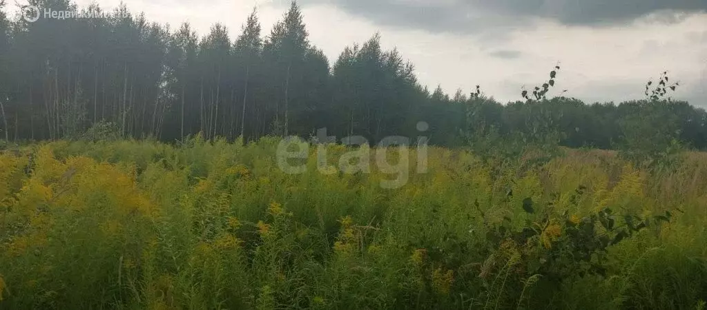 Участок в городской округ Нижний Новгород, деревня Ржавка (500 м) - Фото 1