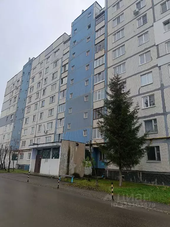 2-к кв. Нижегородская область, Заволжье г. Городецкий муниципальный ... - Фото 1