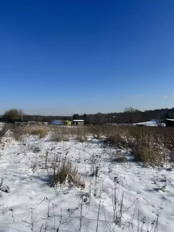 Участок в Тульская область, Тула городской округ, д. Струково ул. ... - Фото 0