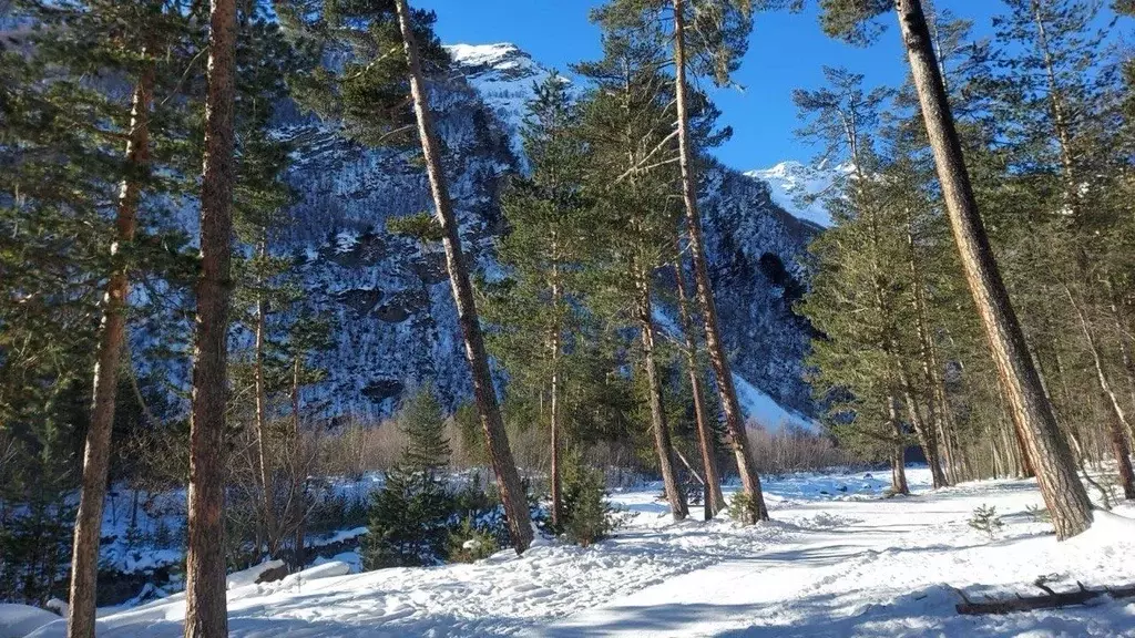 Участок в Кабардино-Балкария, Эльбрусский район, с. Терскол  (12.0 ... - Фото 1