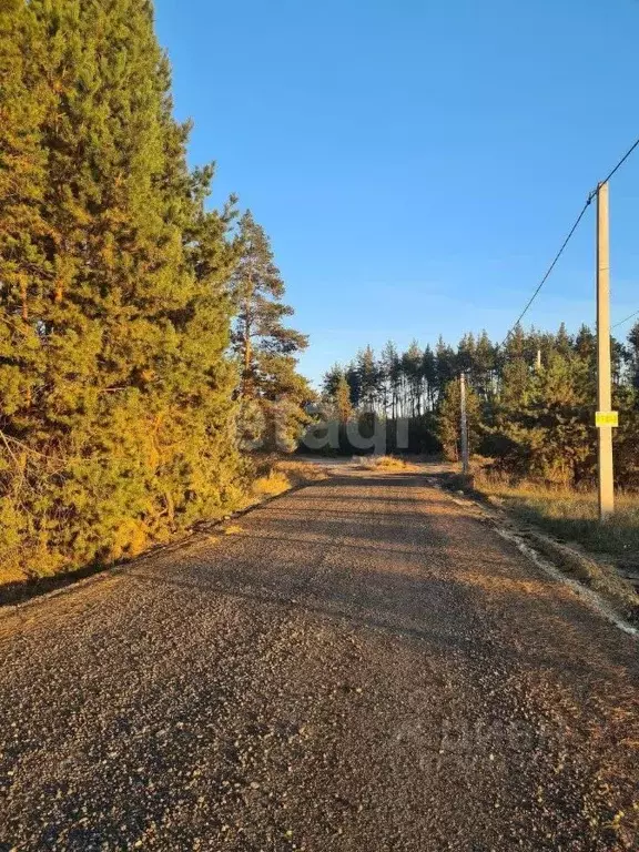 Участок в Воронежская область, Рамонский район, Новоживотинновское ... - Фото 1