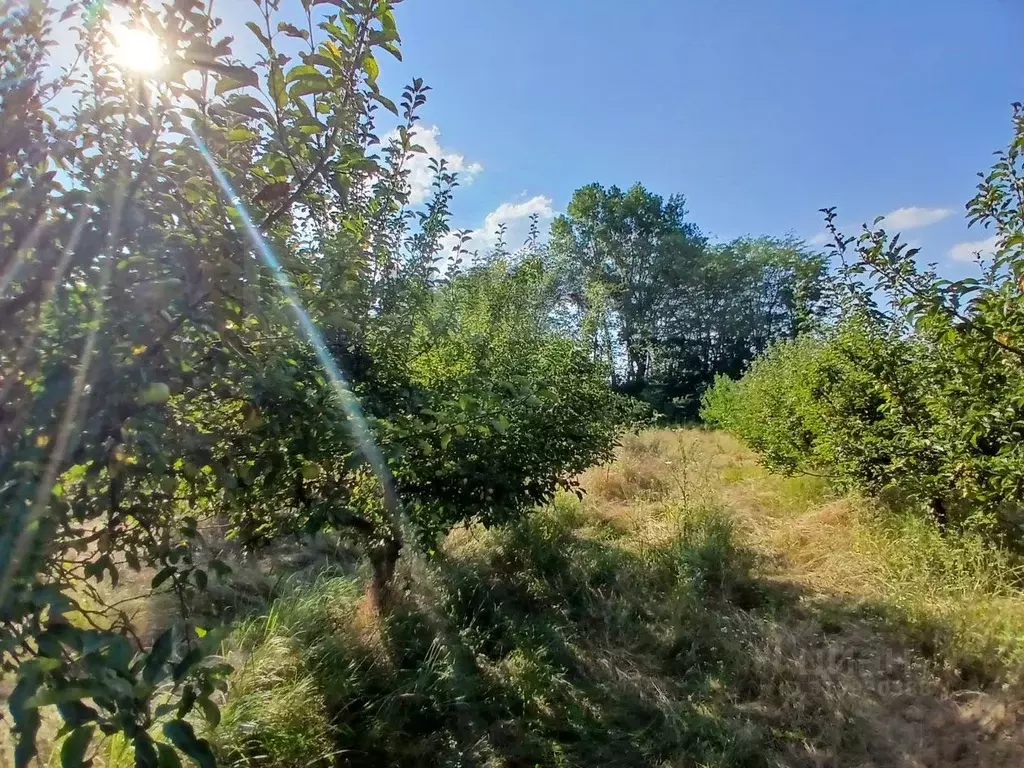 Участок в Адыгея, Майкопский район, Победенское с/пос, пос. Удобный  ... - Фото 1