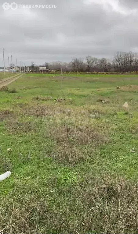 Участок в Белогорский район, Цветочненское сельское поселение, село ... - Фото 2