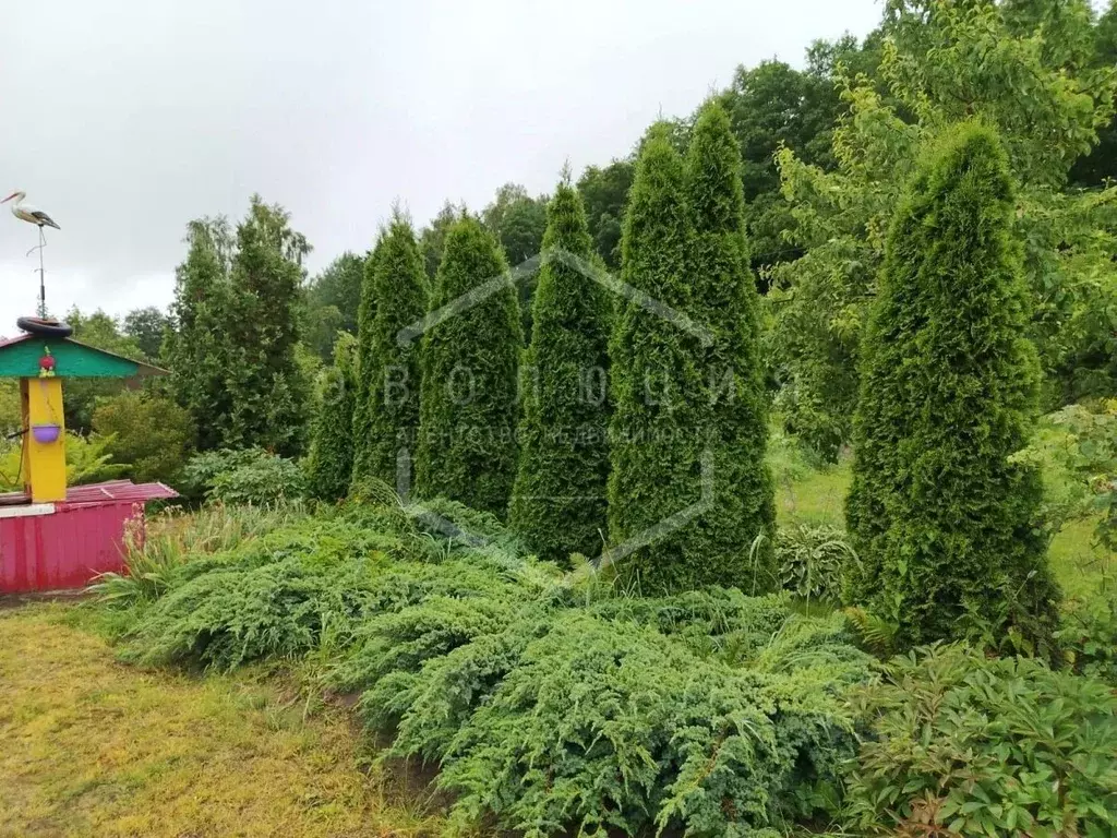 Дом в Калининградская область, Гурьевский муниципальный округ, Крокус ... - Фото 2