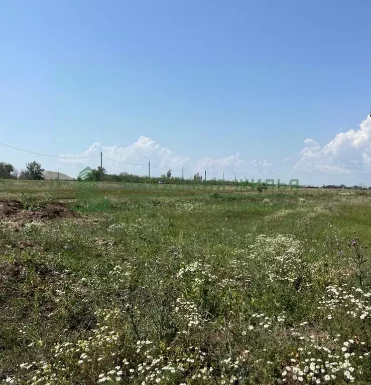 Участок в Саратовская область, Энгельс муниципальное образование, ... - Фото 1