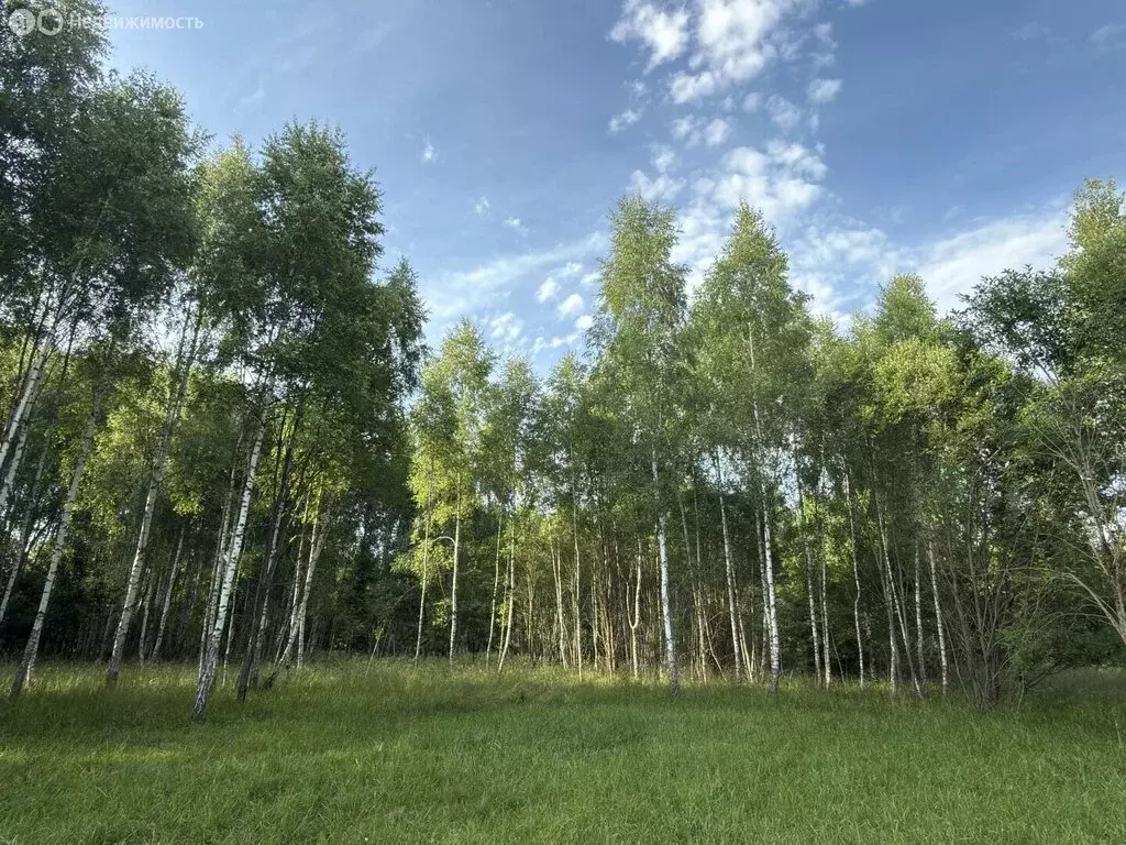 Участок в Московская область, муниципальный округ Чехов, деревня ... - Фото 1