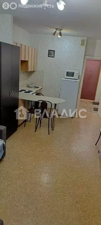 Квартира-студия: Санкт-Петербург, улица Турку, 1к2 (26 м) - Фото 2