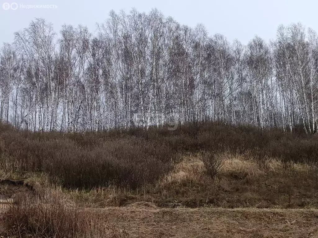 Участок в село Гусиный Брод, Школьная улица (14 м) - Фото 0