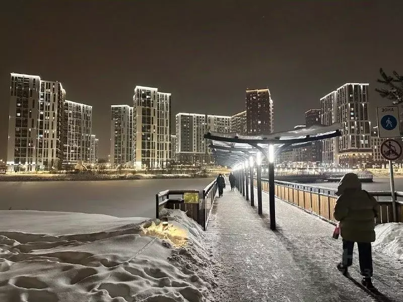 Студия Москва просп. Прокшинский, 5 (22.0 м) - Фото 2