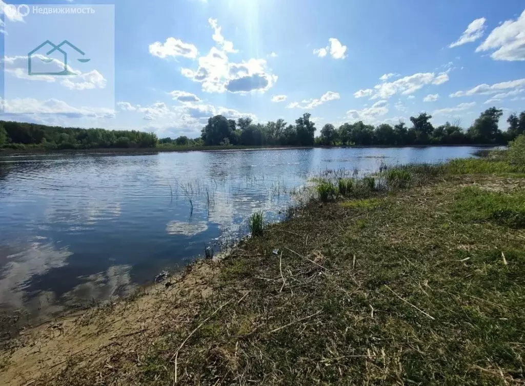 Участок в село Бабяково, Песчаная улица, 164 (10 м) - Фото 0