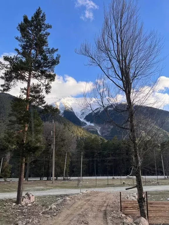Участок в Карачаево-Черкесия, Зеленчукский район, с. Архыз  (10.0 ... - Фото 1