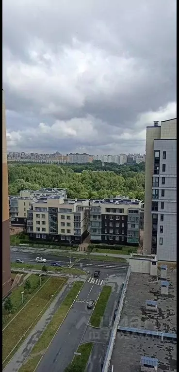 1-к кв. Санкт-Петербург Петергофское ш., 45 (41.0 м) - Фото 2