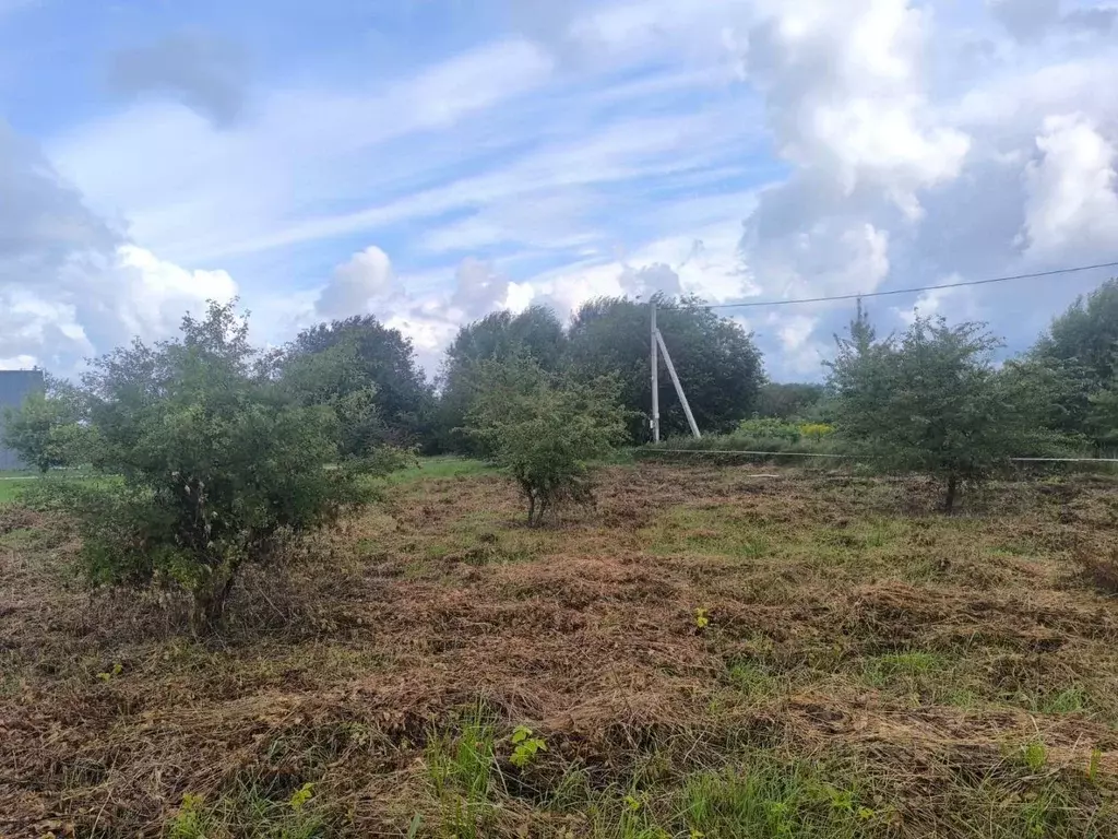 Участок в Калининградская область, Зеленоградский муниципальный округ, ... - Фото 1