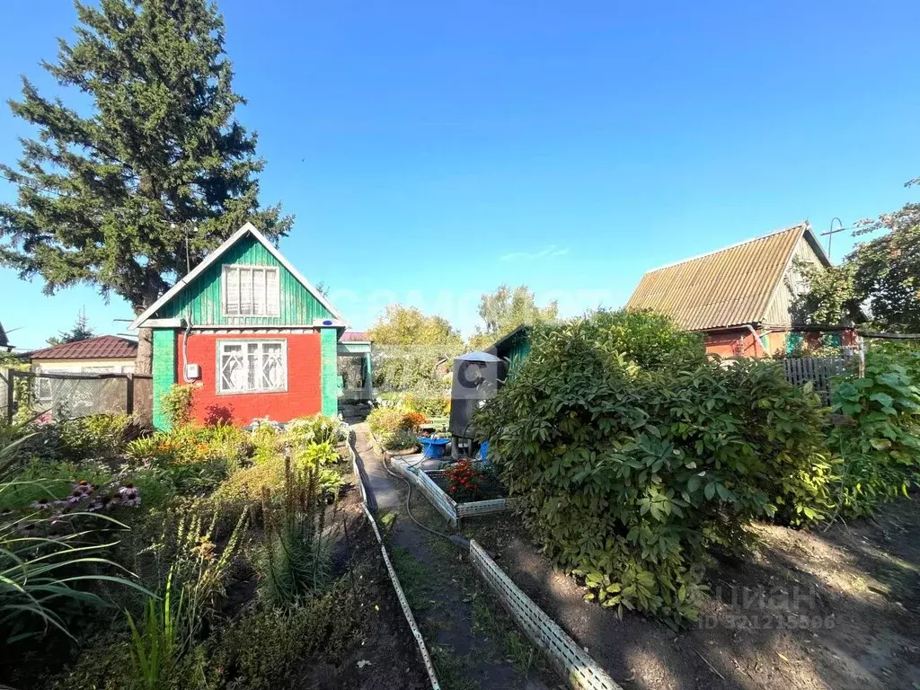 Дом в Омская область, Омск СНТ Сибзаводовец ТСН, аллея 1-я (24 м) - Фото 1