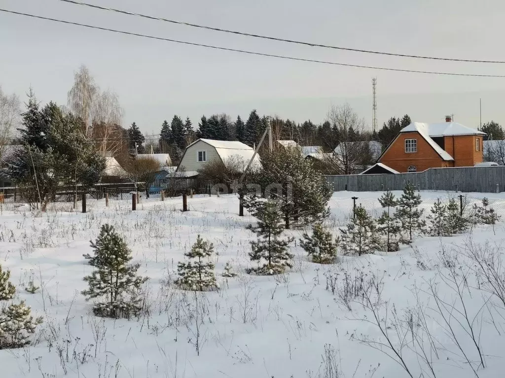 Участок в Вологодская область, д. Матвеевское (Марковский сельсовет)  ... - Фото 0