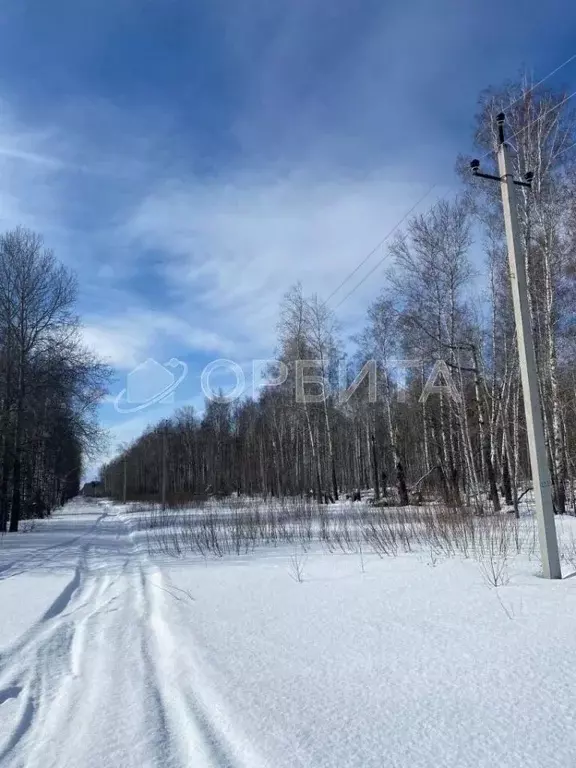 Участок в Тюменская область, Тюменский район, д. Елань 14 (7.0 сот.) - Фото 0