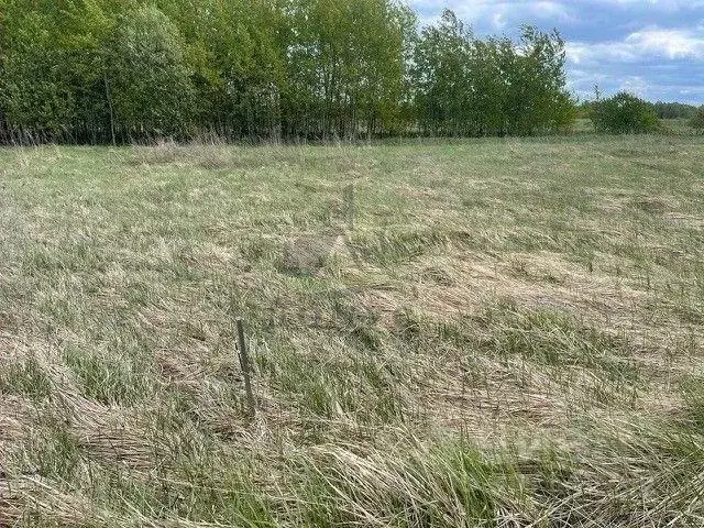 Участок, 6 сот., сельхоз (снт или днп) - Фото 1