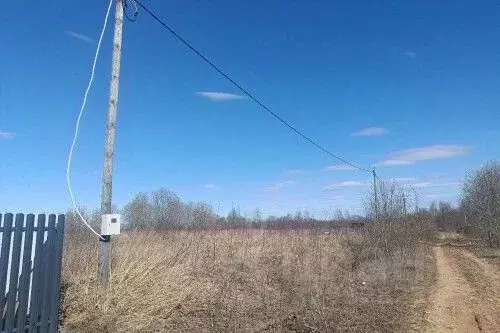 Участок в Новгородская область, Новгородский район, Савинское с/пос, ... - Фото 2