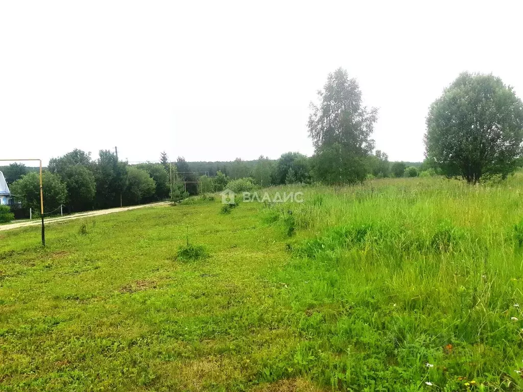 Участок в Пензенская область, Городищенский район, пос. Тумалейка, ... - Фото 2