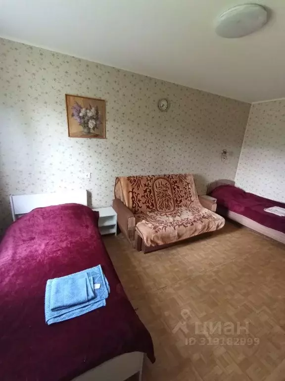 1-к кв. Санкт-Петербург Белградская ул., 32 (32.0 м) - Фото 0